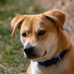 Meet your Posher, Martha